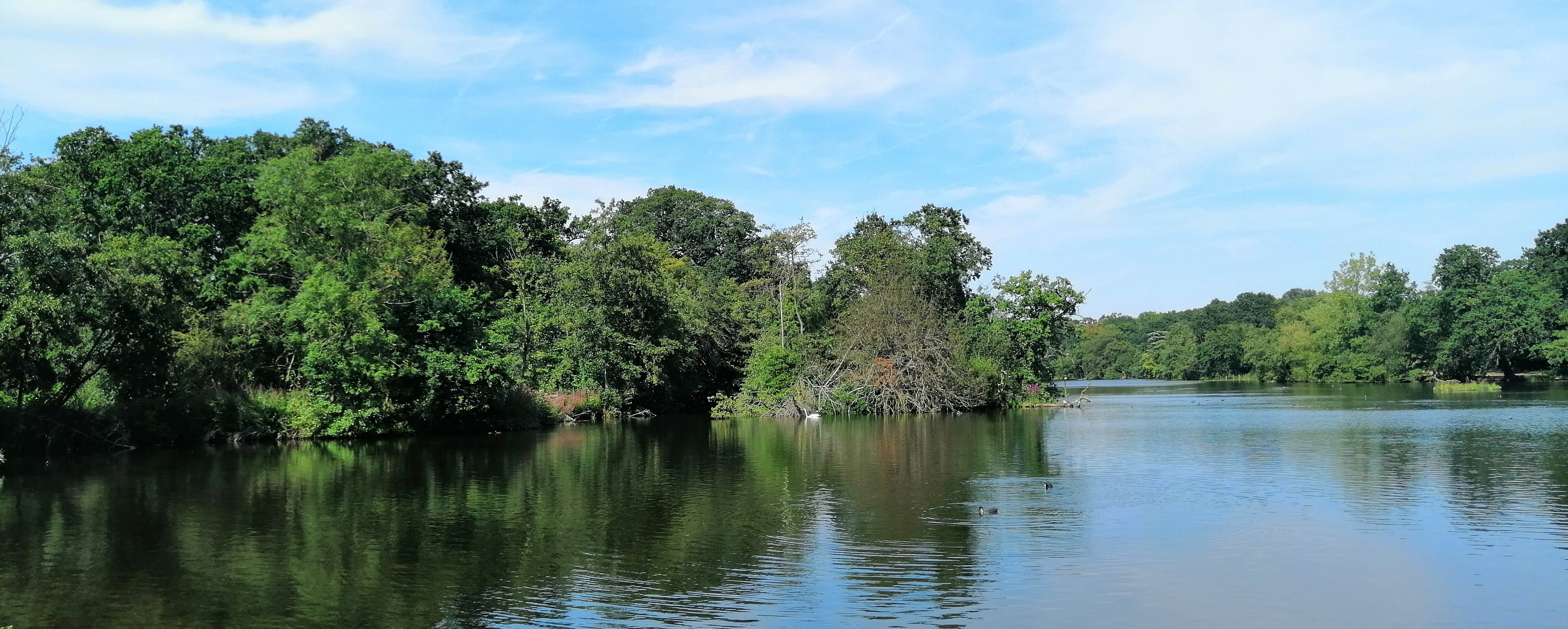 smartcapture McRae's Sales, Lettings & Management Estate Agent